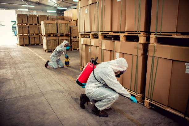 Best Exterminator Services  in Whitesboro, NY