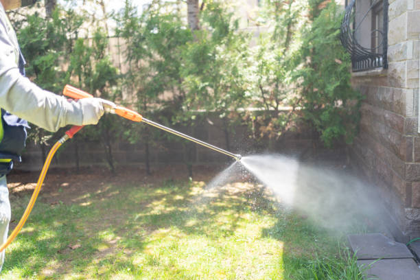 Best Pest Prevention Services  in Whitesboro, NY