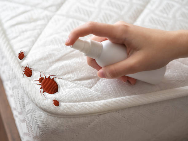 Best Emergency Pest Control  in Whitesboro, NY