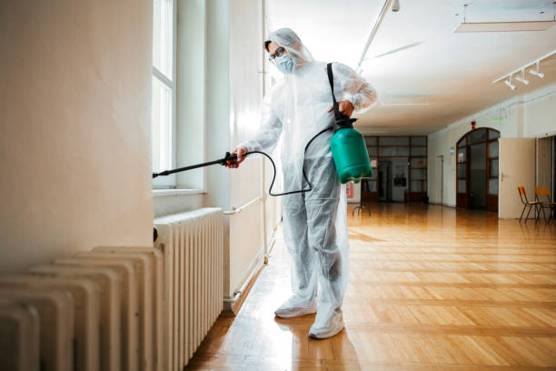 Best Termite Control Services  in Whitesboro, NY