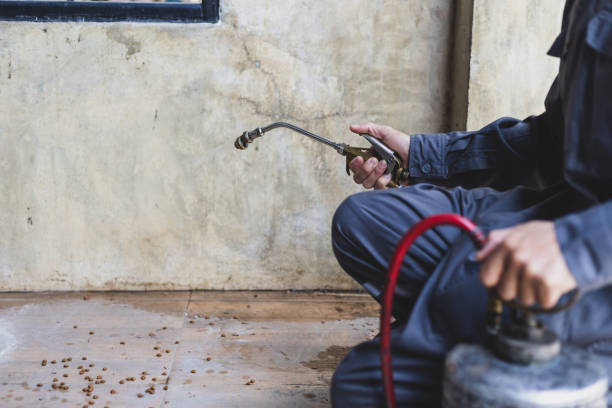 Best Mosquito Control Services  in Whitesboro, NY